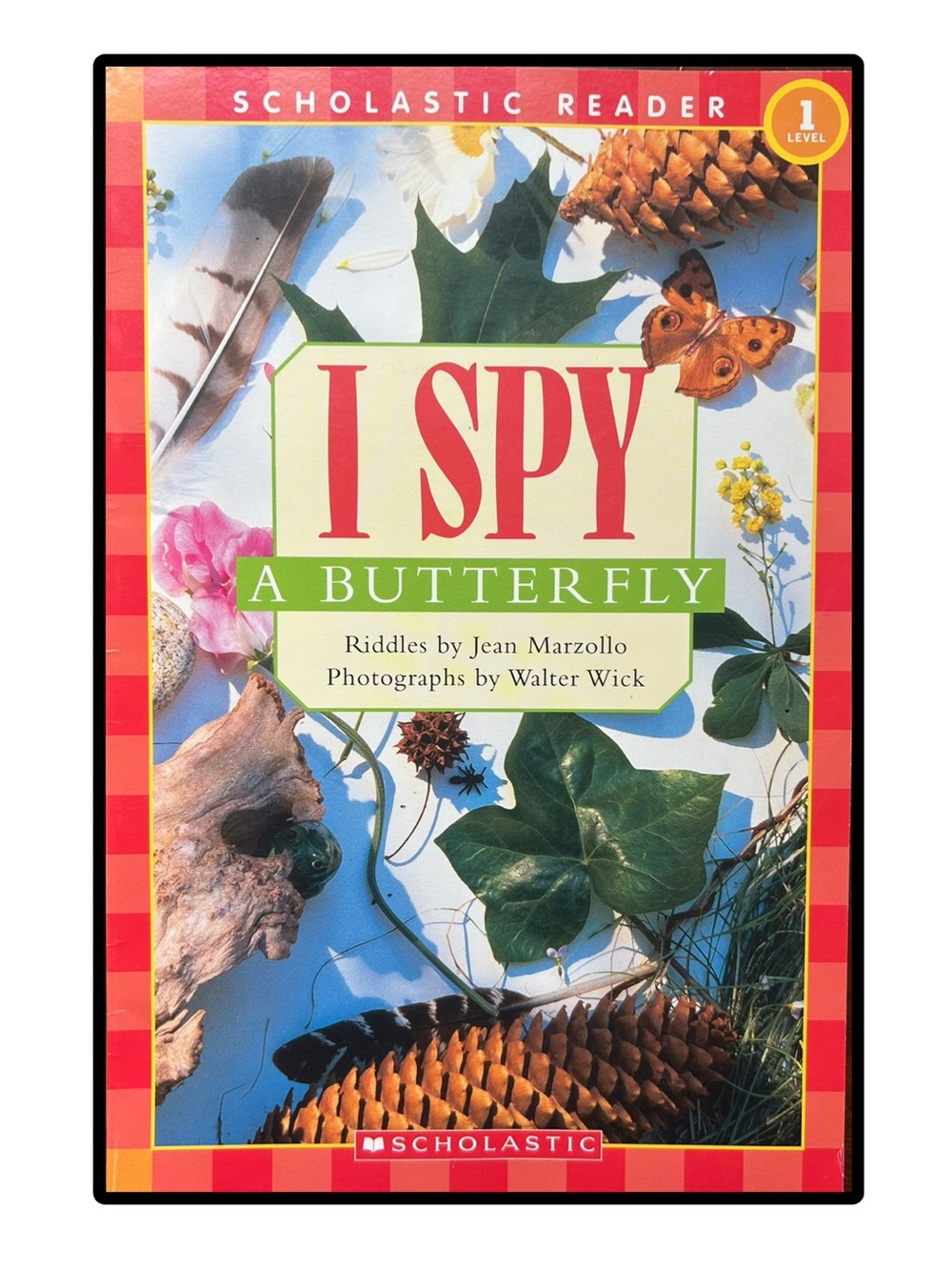 BUNDLE & SAVE 🦋I Spy Butterfly Level 1 Softcover